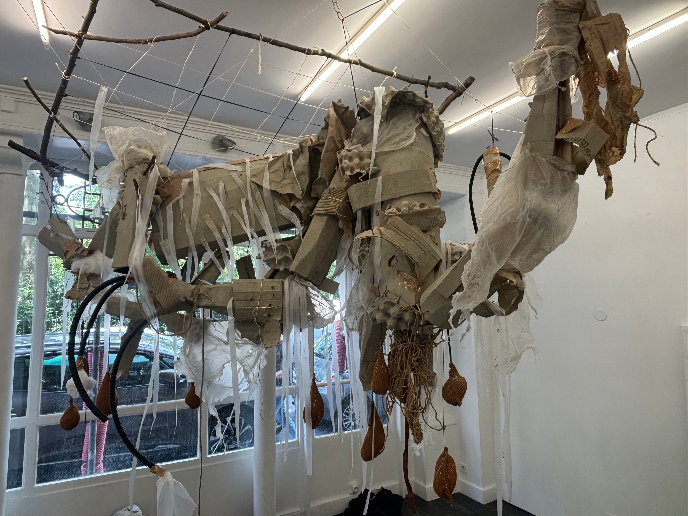 Untitled Extinction subject