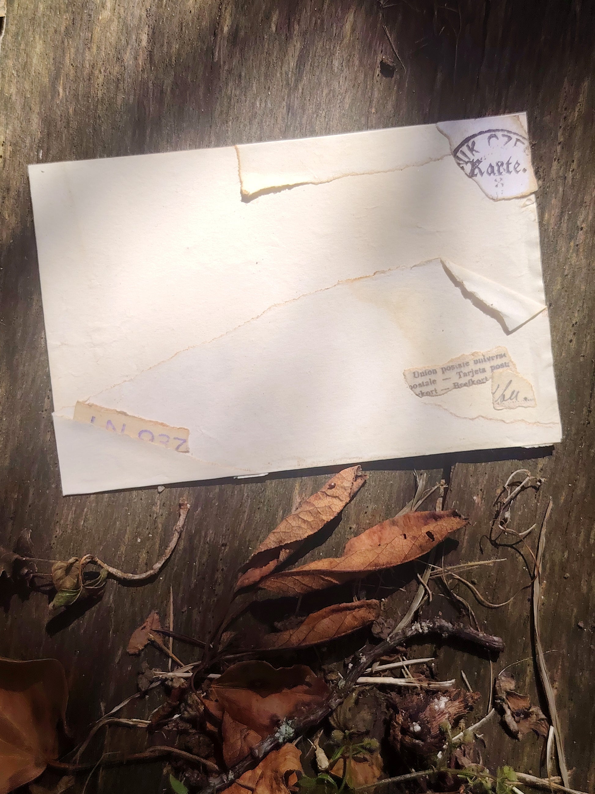 Iva Peroš — Correspondances #1 — original postcard artwork