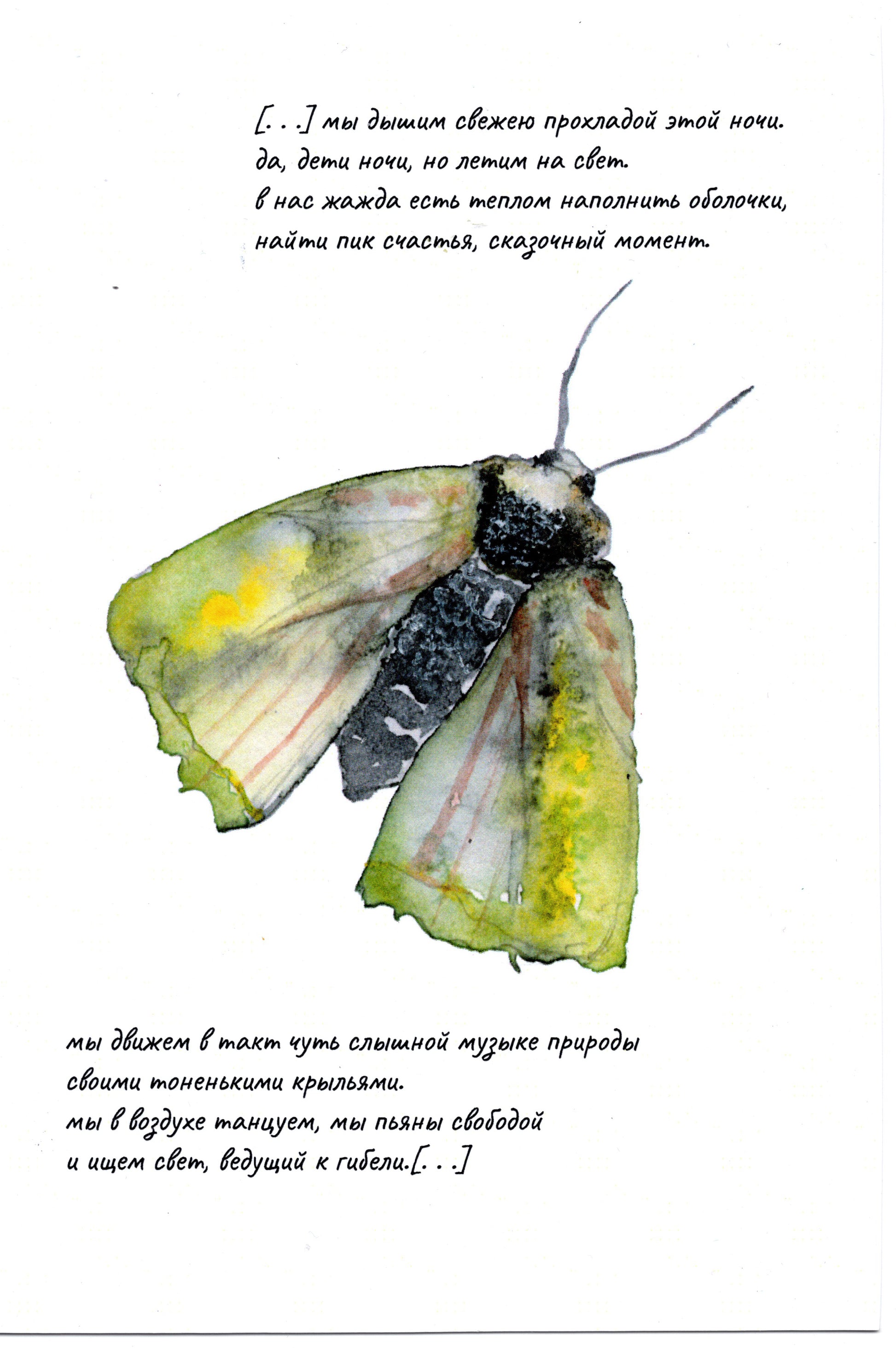 Julia Ponz — Correspondances #3 — original postcard artwork