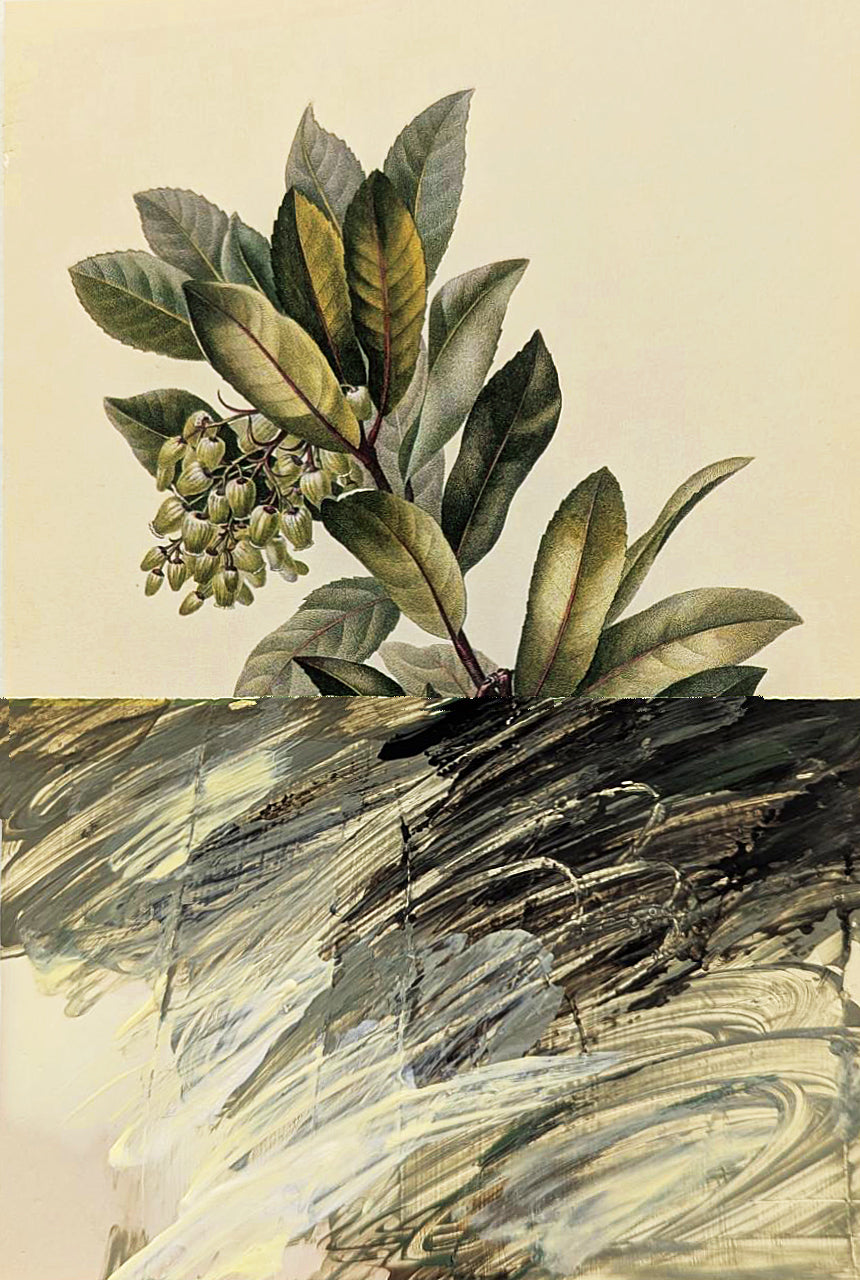 Kerry Schroeder — Correspondances #1 — original postcard artwork