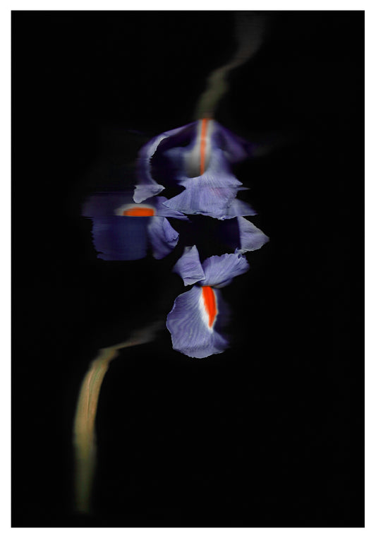 Liliana Osorio — Correspondances #3 — original postcard artwork