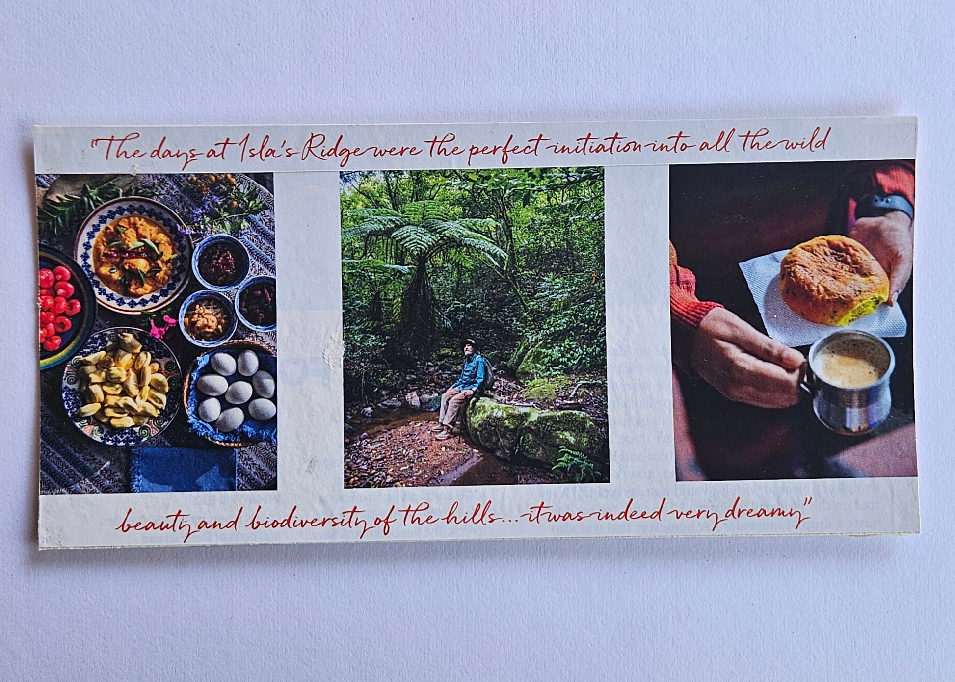 Maya Sara Matthew — Correspondances #1 — original postcard artwork