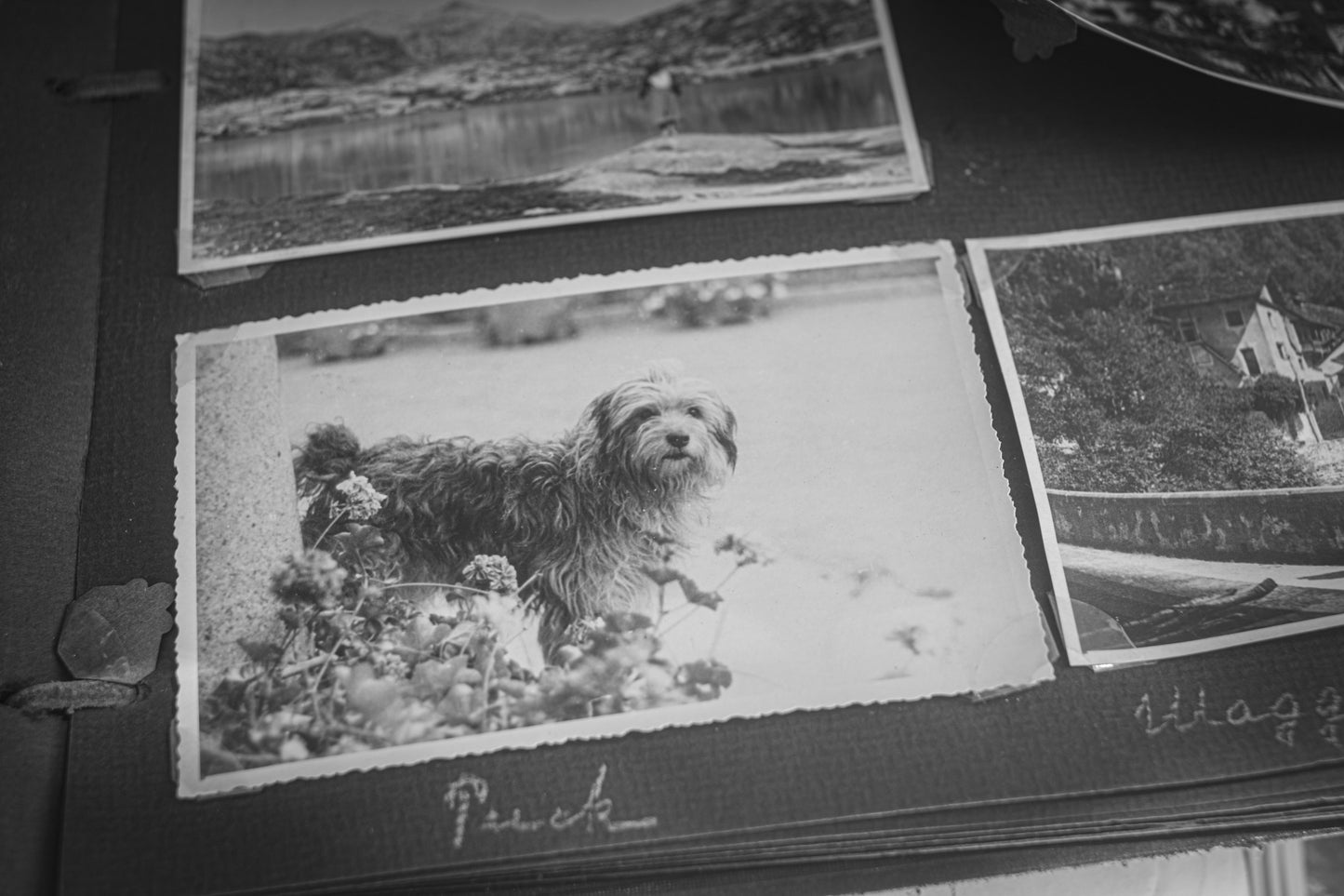 Michi Shiraishi — Correspondances #3 — original postcard artwork