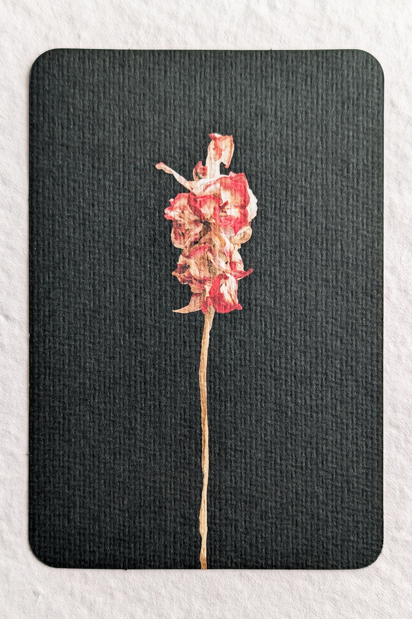 Sandra Kip — Correspondances #2 — original postcard artwork