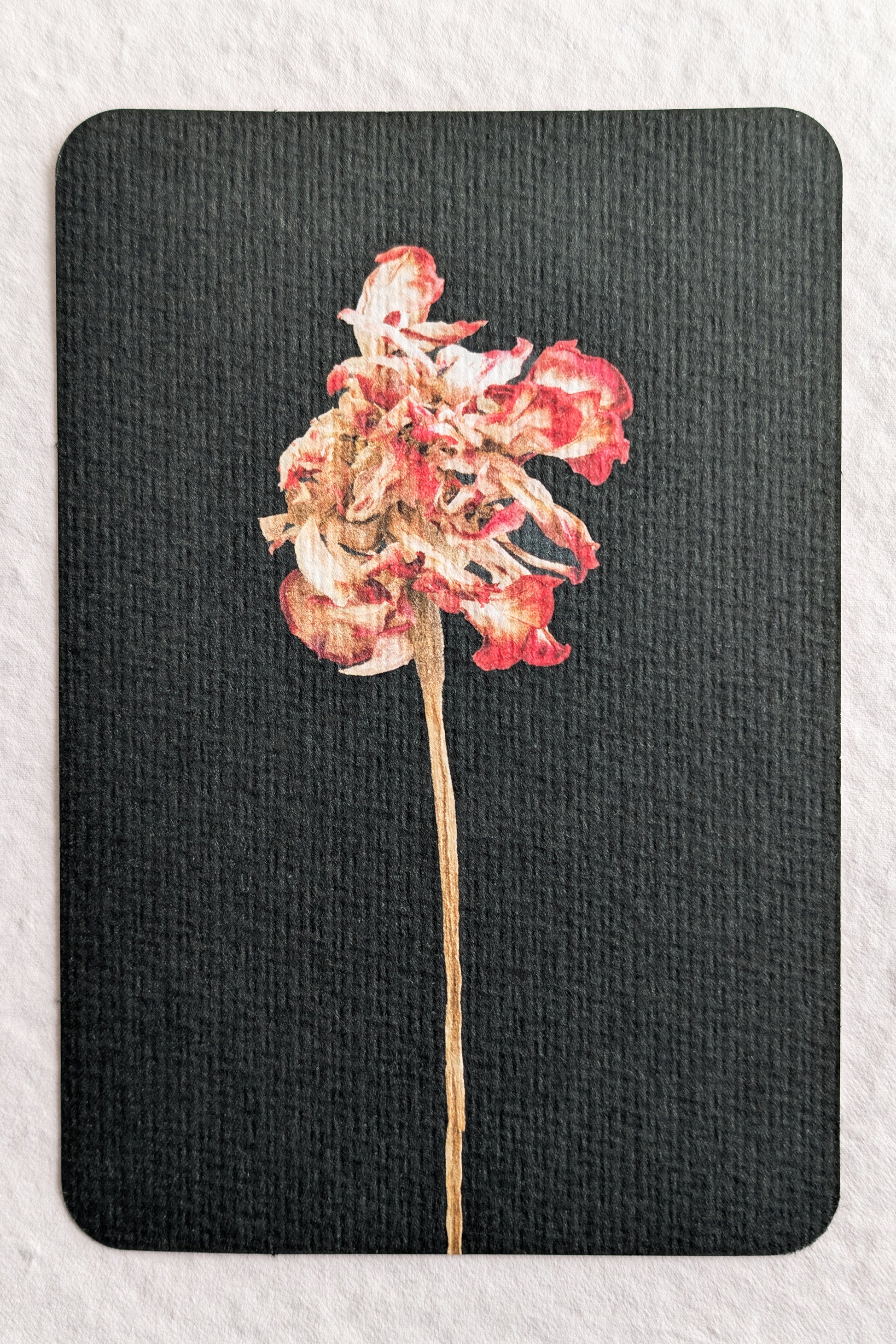 Sandra Kip — Correspondances #3 — original postcard artwork