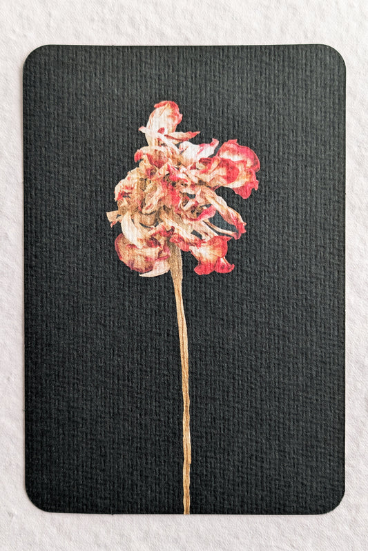 Sandra Kip — Correspondances #3 — original postcard artwork