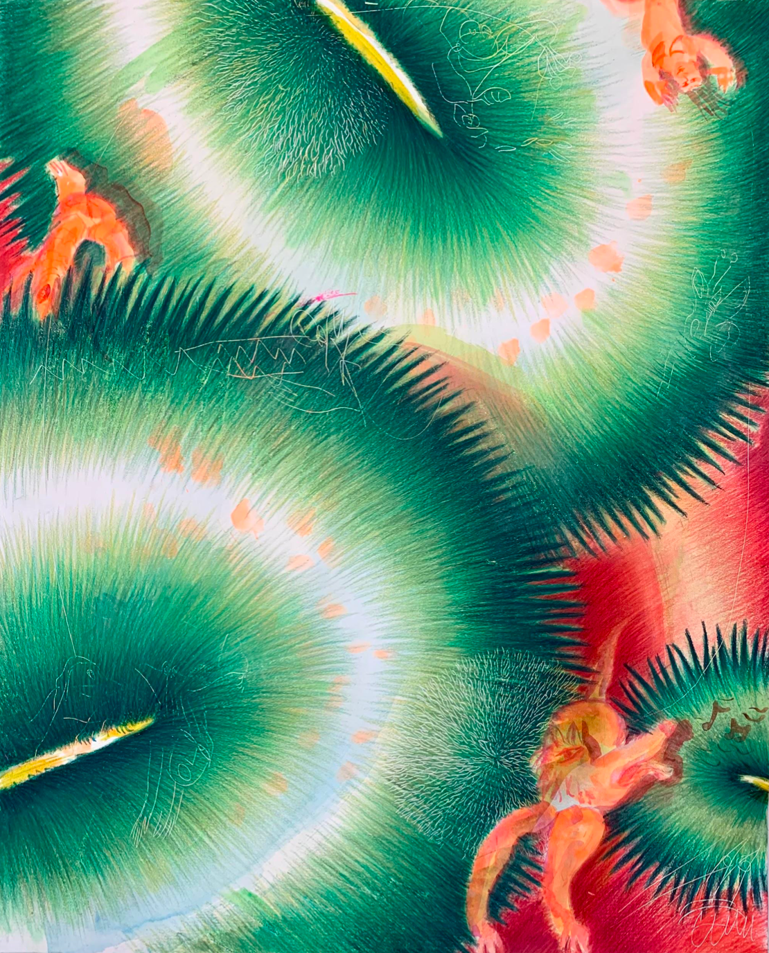 Comme des Petits Nénuphars Vert