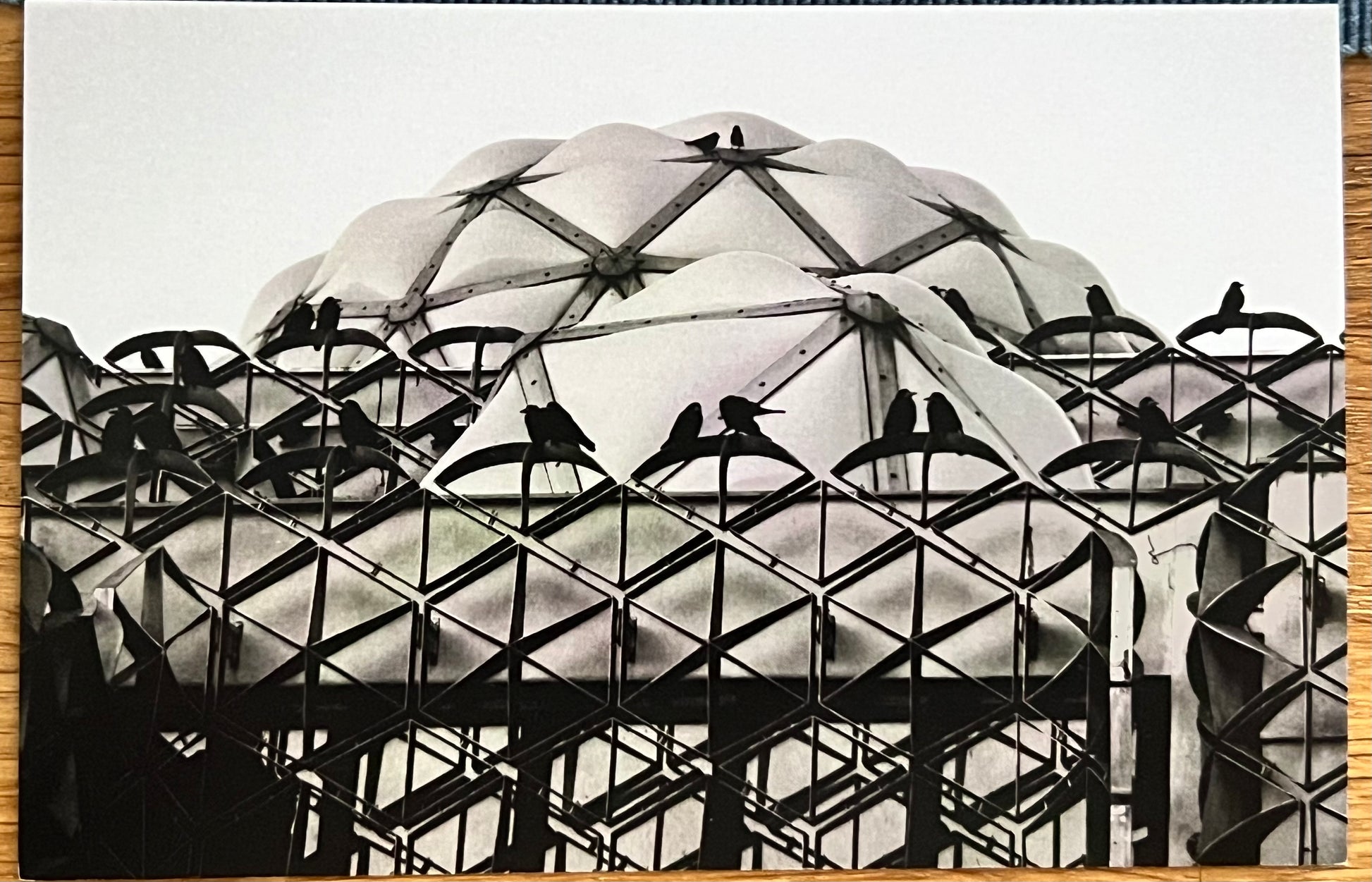 Sehida Miftari — Correspondances #2 — original postcard artwork