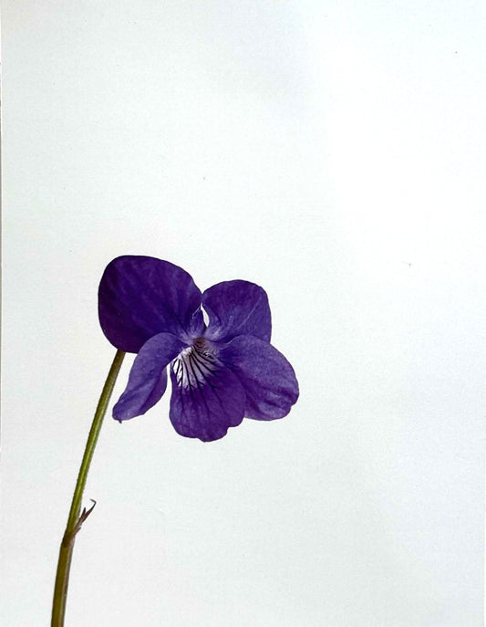 Tinne Stender — Correspondances #2 — original postcard artwork