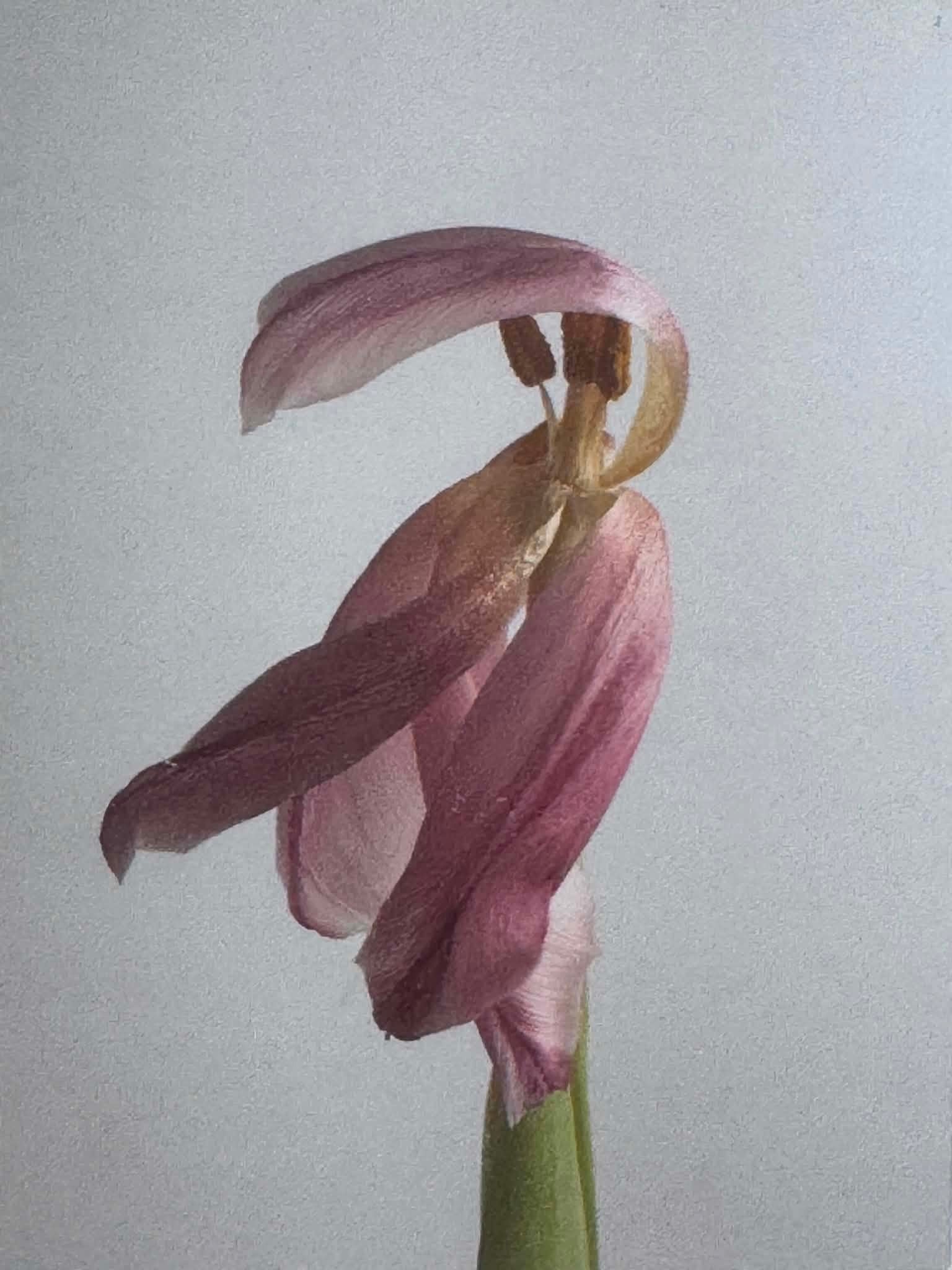Tinne Stender — Correspondances #3 — original postcard artwork