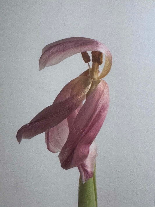 Tinne Stender — Correspondances #3 — original postcard artwork