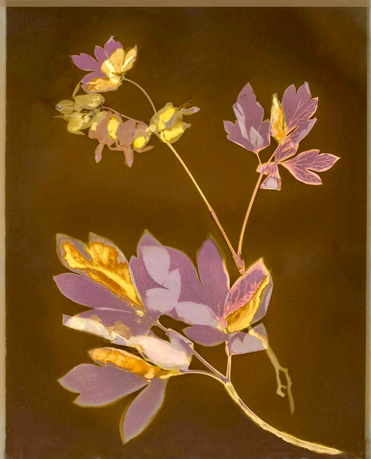 Valerie Burke — Correspondances #2 — original postcard artwork