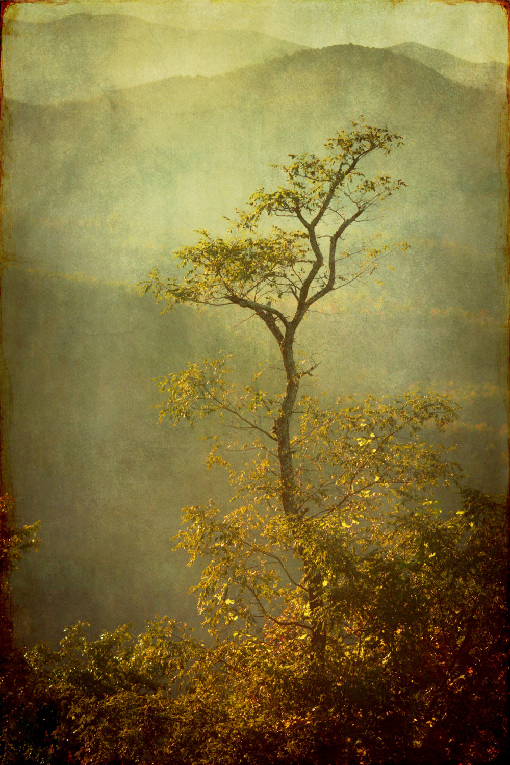 Wendi Schneider — Correspondances #3 — original postcard artwork