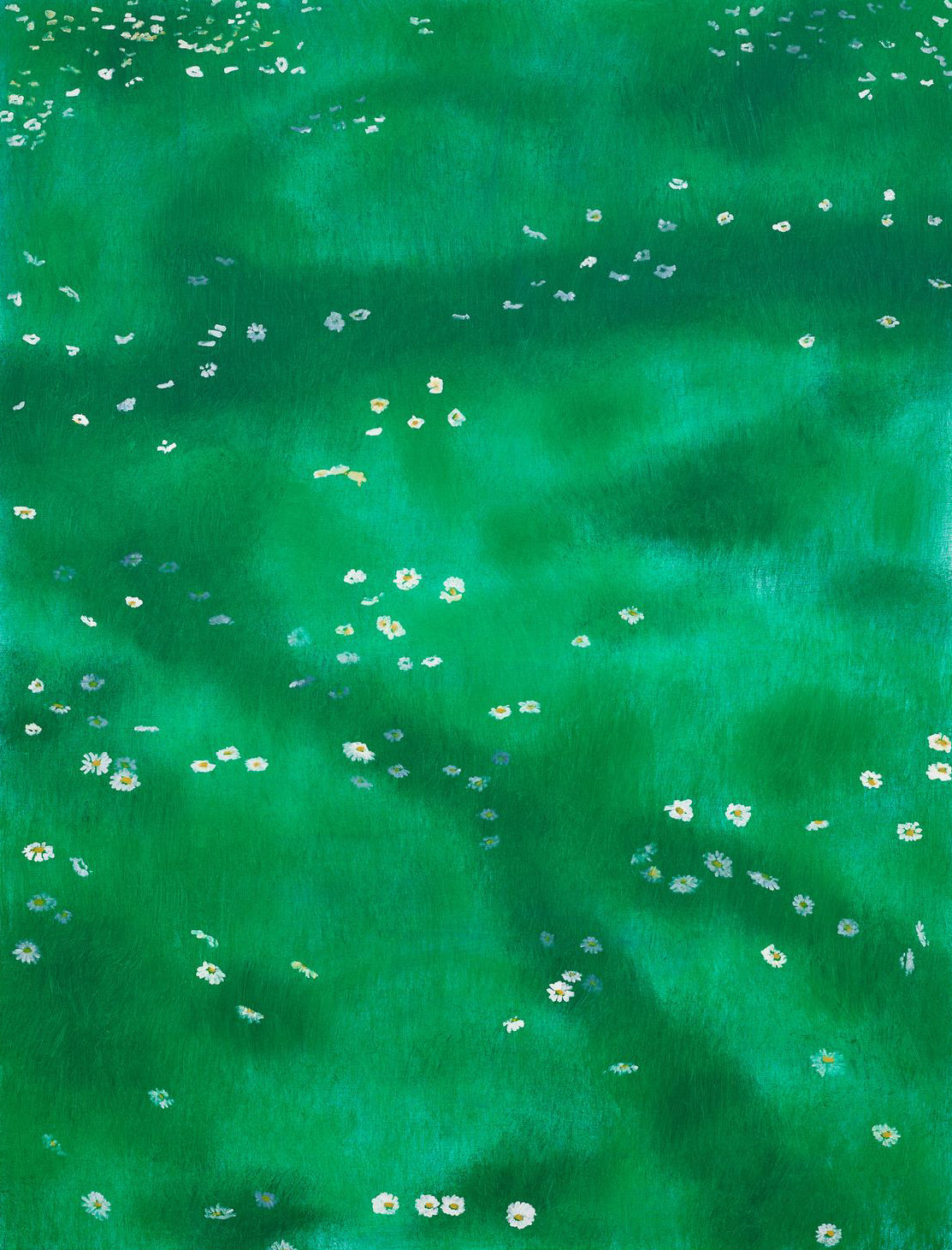 Madeliefje/Daisies with ADD