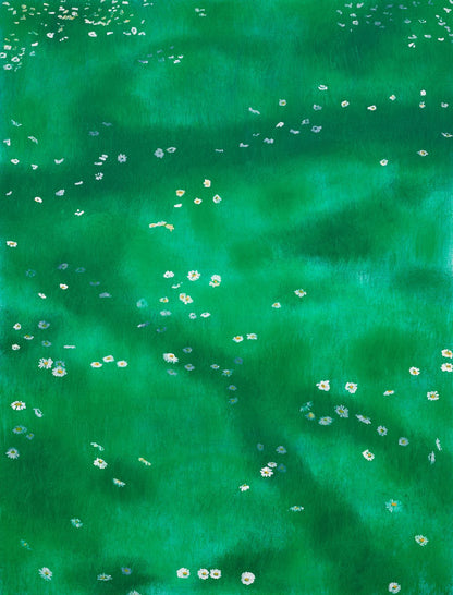 Madeliefje/Daisies with ADD