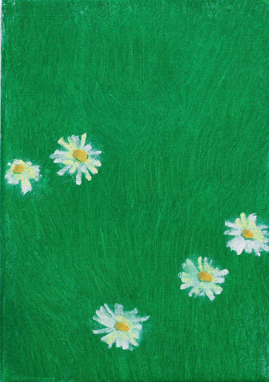 Madeliefje/Daisies with ADD 1