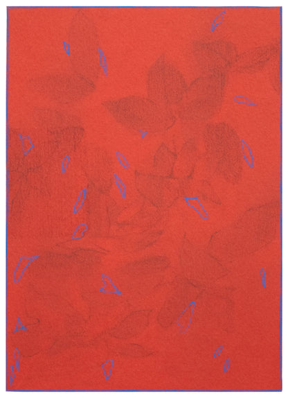Untitled #47
