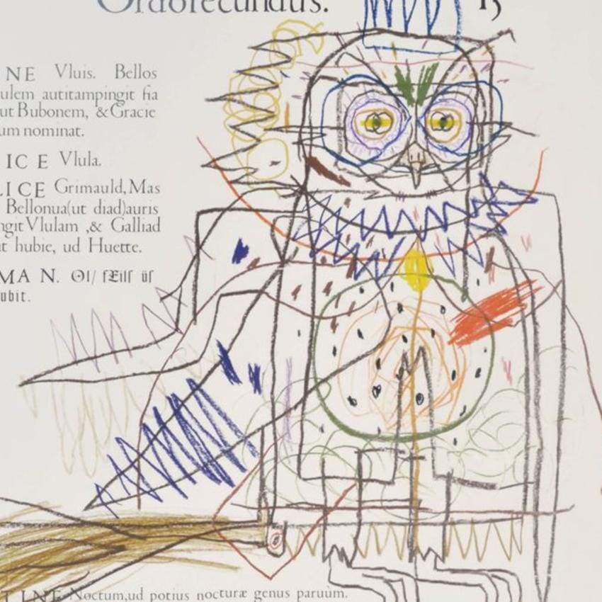 A supernatural history of sciences (owl) - The Curators