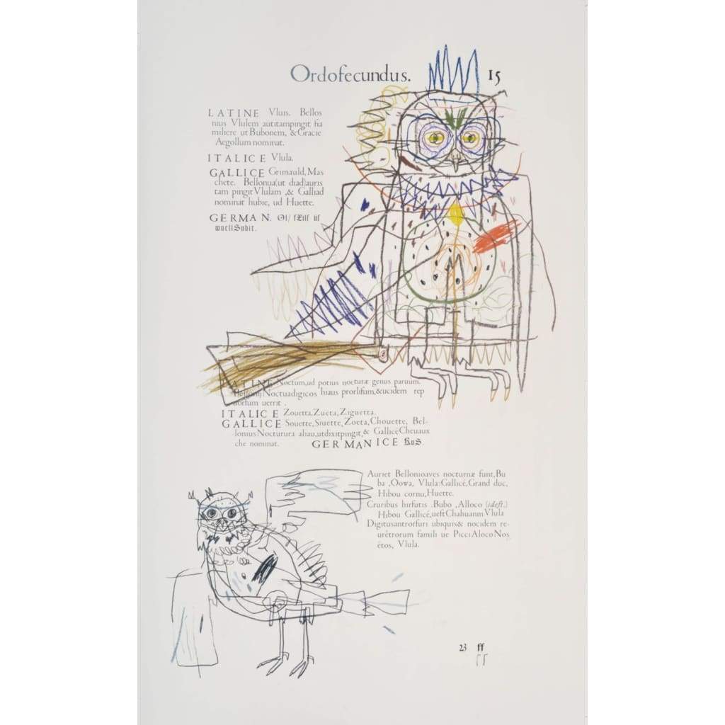 A supernatural history of sciences (owl) - The Curators