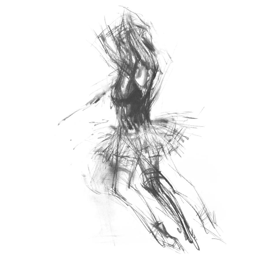 Allegro n°67 (spiccato) - The Curators