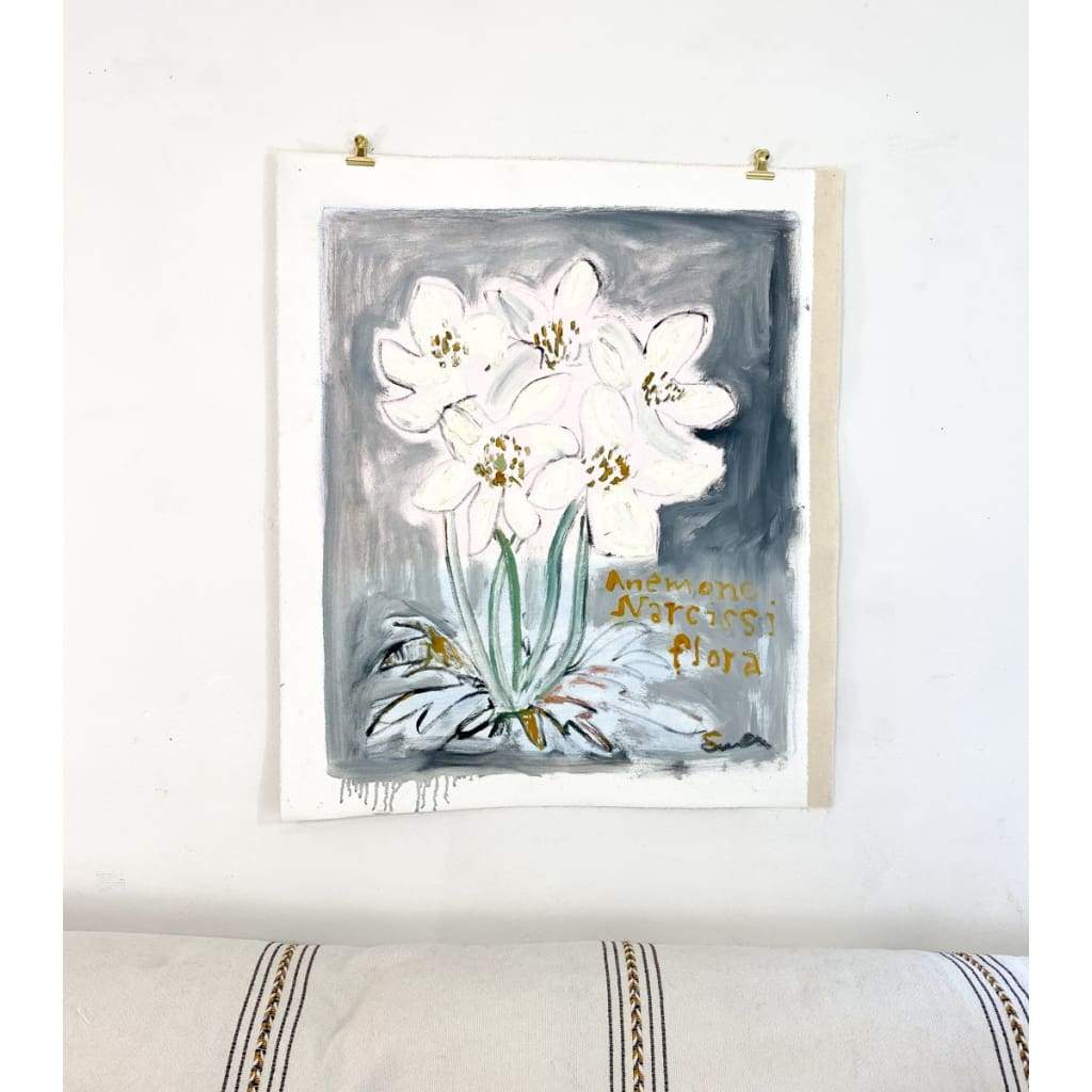 Anemone Narcissiflora - The Curators