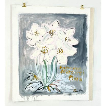 Anemone Narcissiflora - The Curators