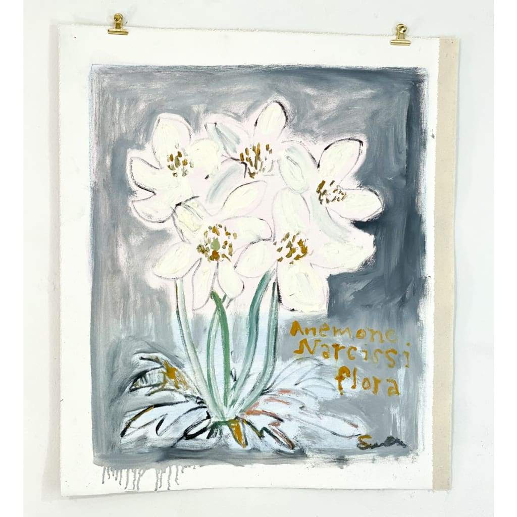Anemone Narcissiflora - The Curators