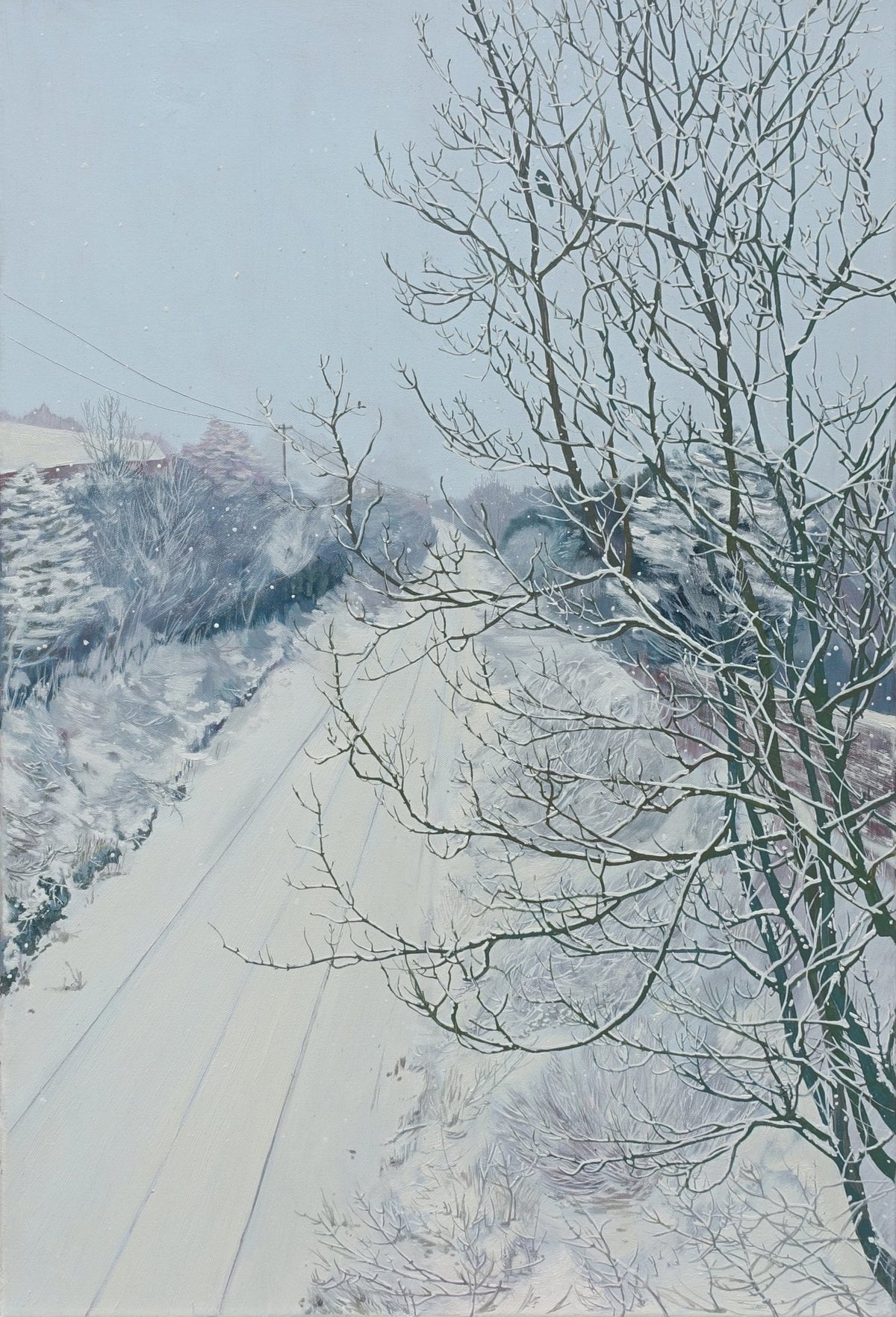 Castle street bridge - Claire Cansick - The Curators