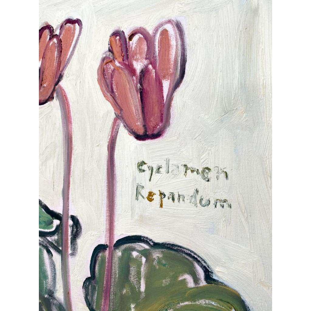 Cyclamen Repandum - Anne-Louise Ewen - The Curators