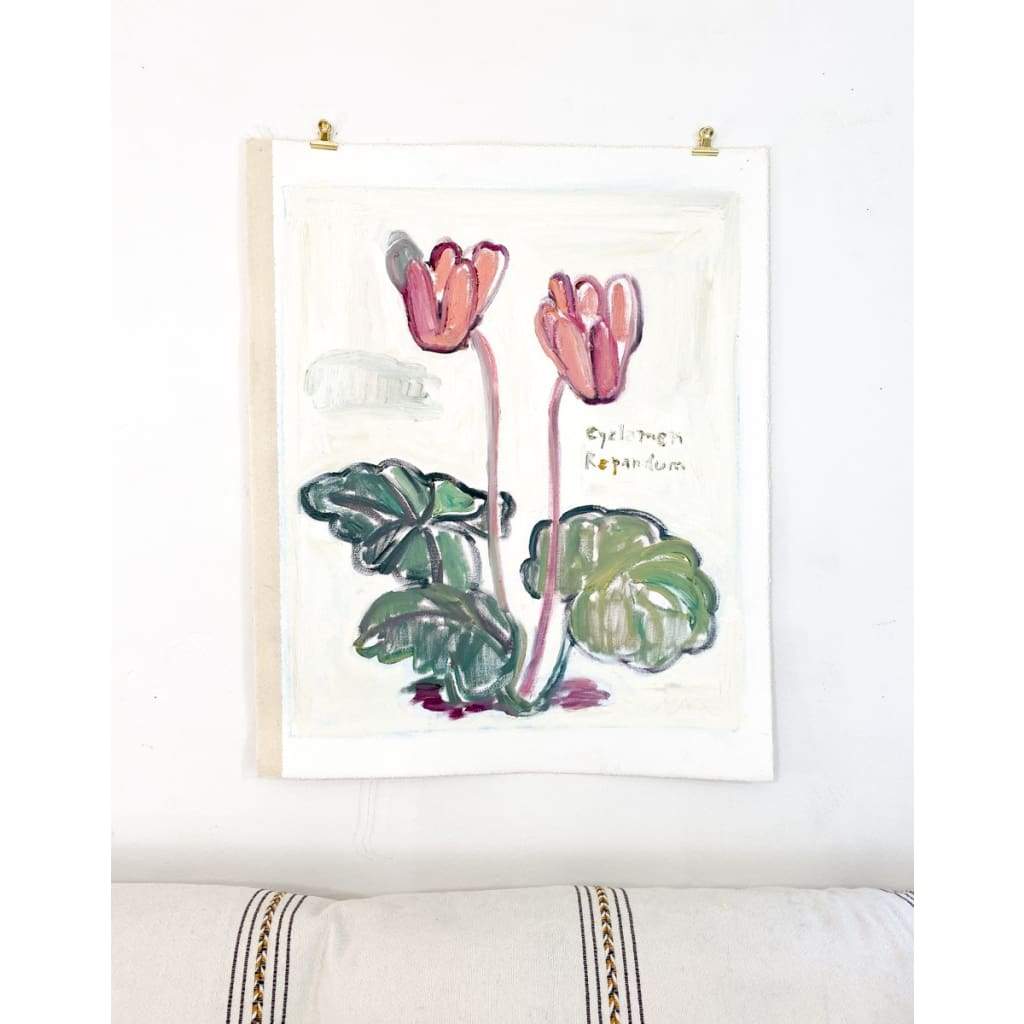 Cyclamen Repandum - Anne-Louise Ewen - The Curators