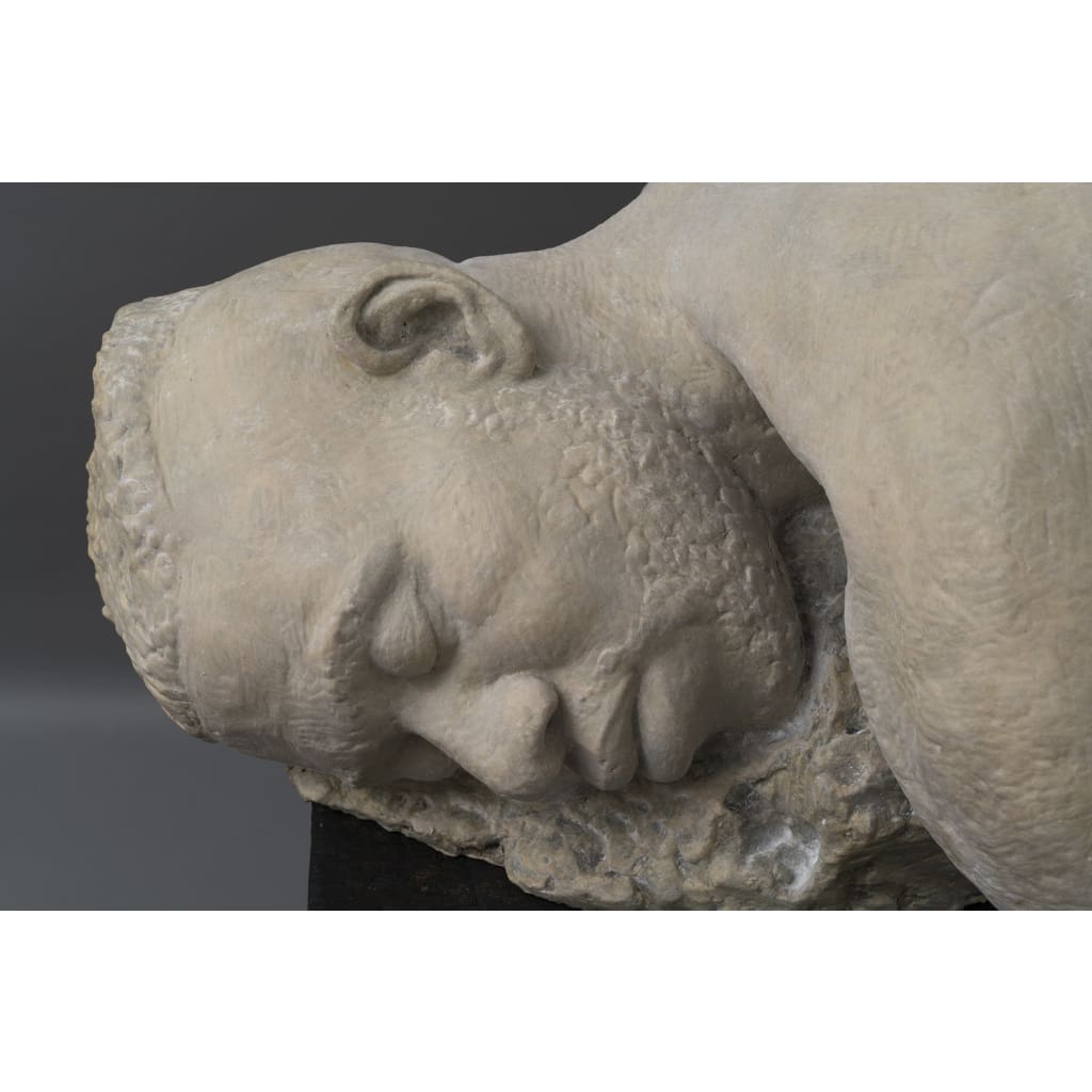 Lynceus - The Curators