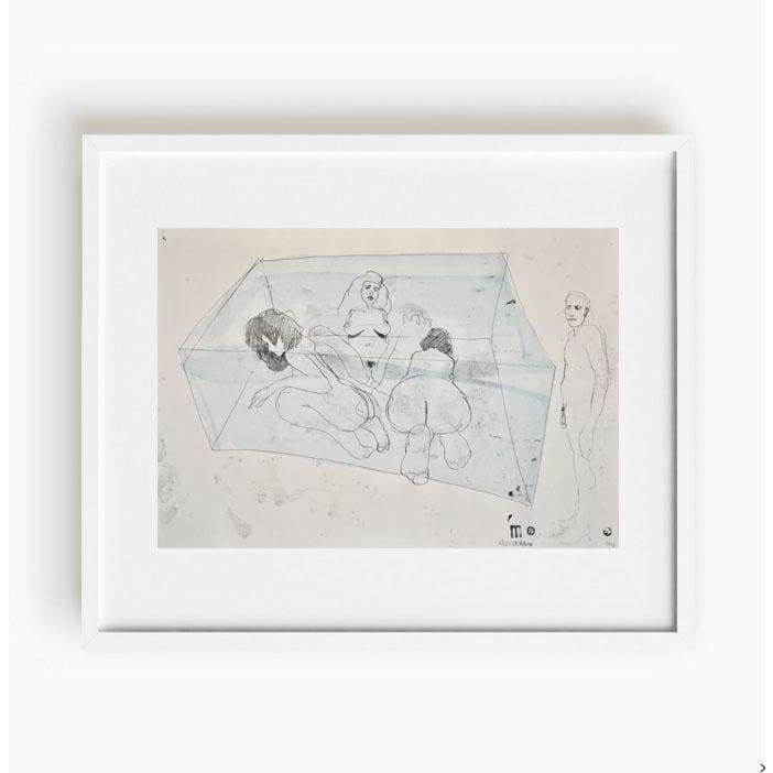 Nue 4714 'Alcoforado' - The Curators