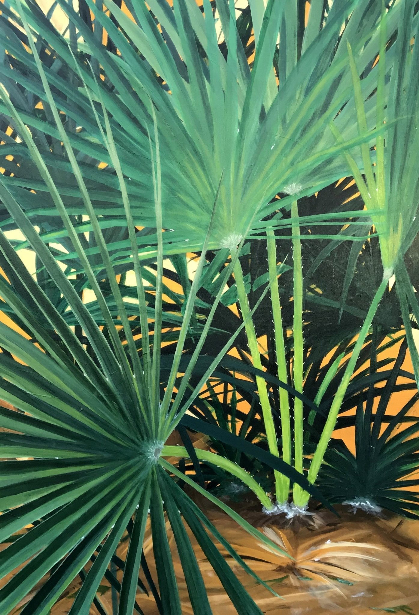 Palmiers (Palm trees) - The Curators
