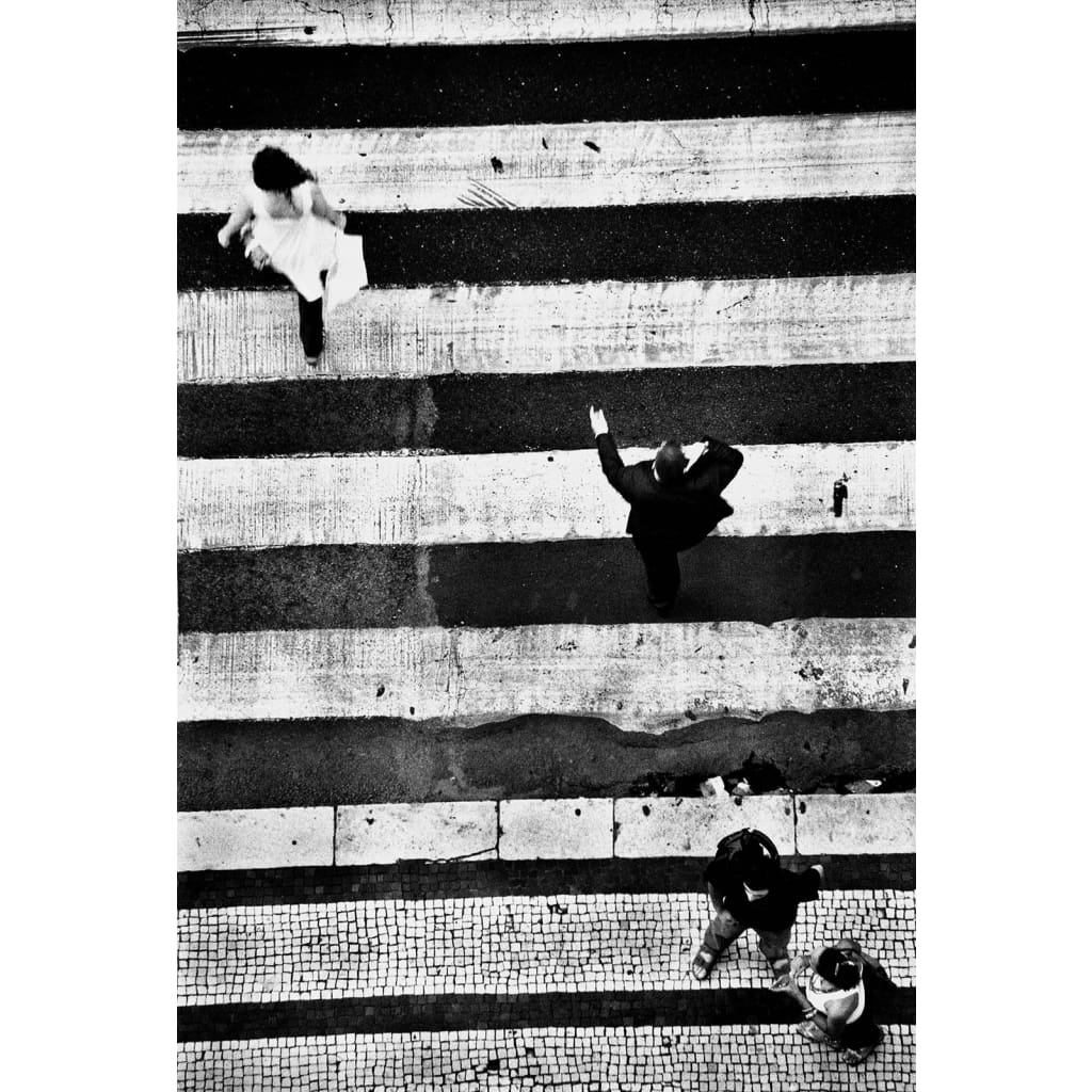 People everywhere II - The Curators