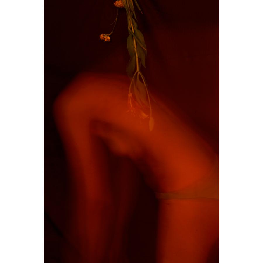 Red - The Curators