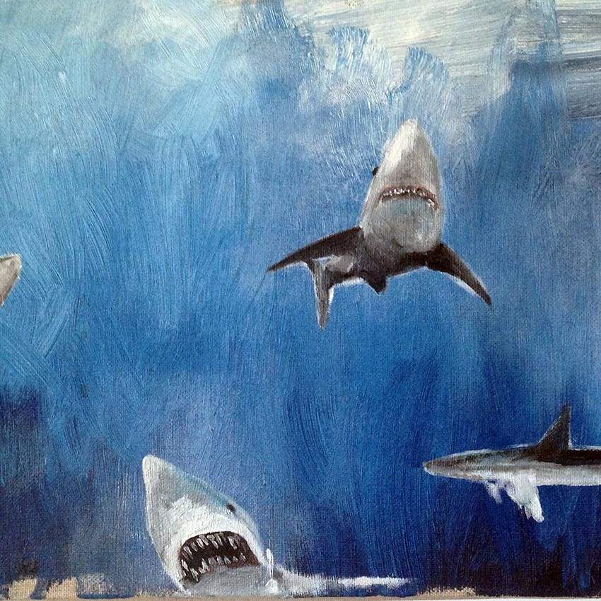 Sharks - The Curators