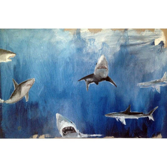 Sharks - The Curators