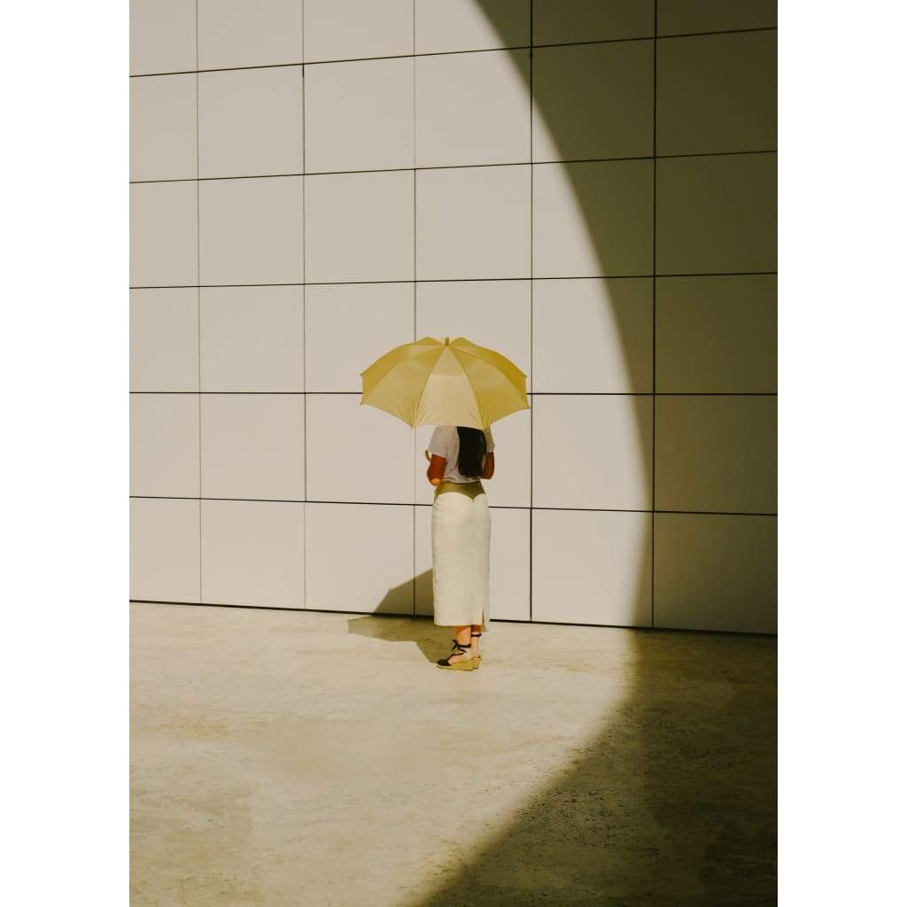 Umbrella - The Curators