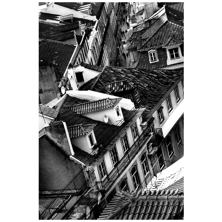 Urban landscape 12 - The Curators