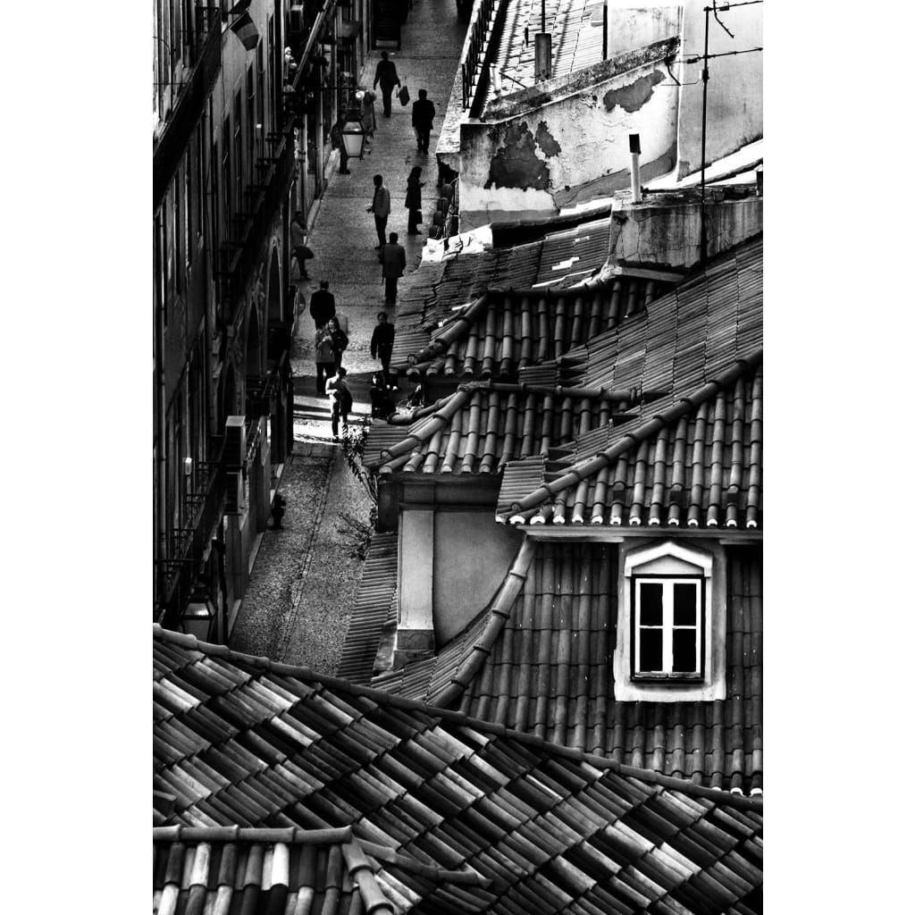 Urban landscape 13 - The Curators